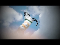 مجسمه برنزی